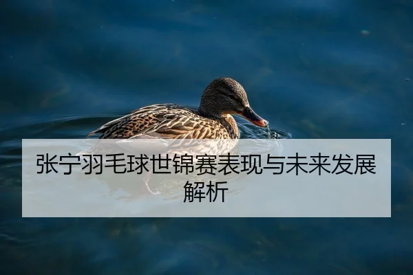 张宁羽毛球世锦赛表现与未来发展解析