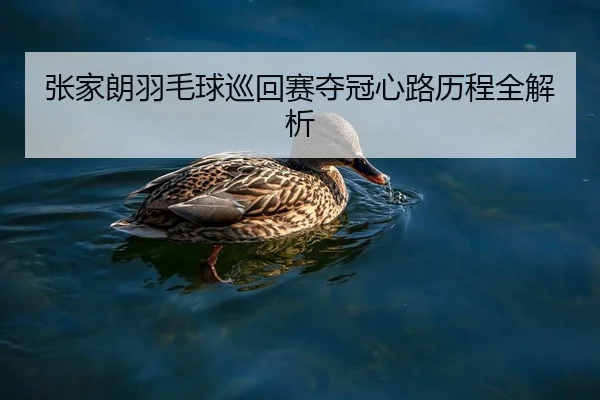 张家朗羽毛球巡回赛夺冠心路历程全解析